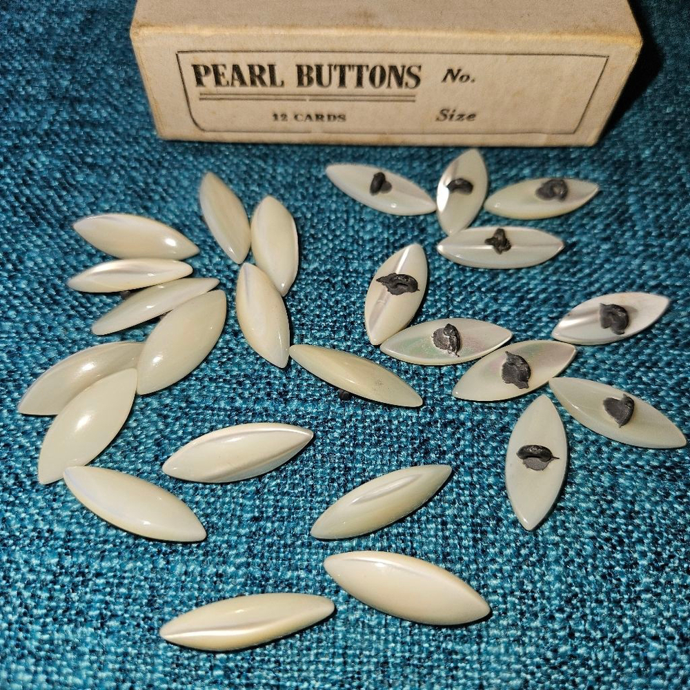 Mother of Pearl Irodecent Vintage Buttons Shank Lot of 6 Victorian Art Nouveau
